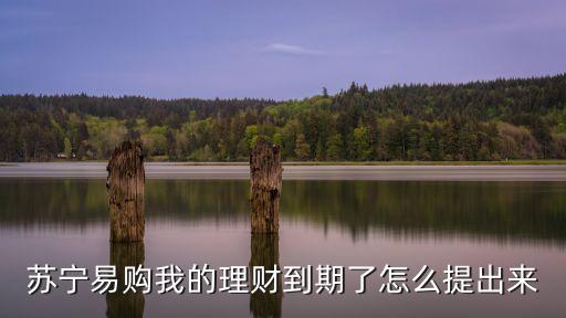蘇寧理財怎么提出，蘇寧易購我的理財到期了怎么提出來