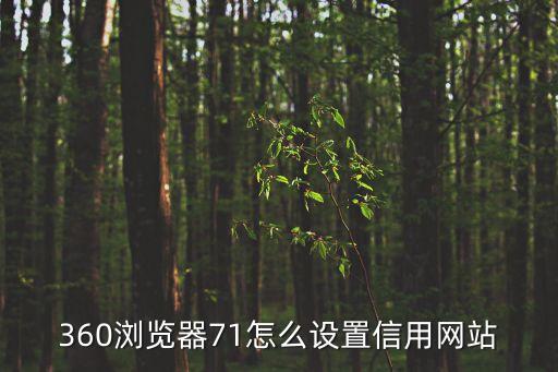 360瀏覽器71怎么設(shè)置信用網(wǎng)站