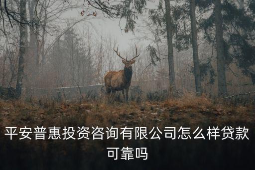 平安普惠投資咨詢有限公司怎么樣貸款可靠嗎