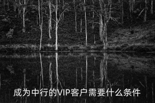 成為中行的VIP客戶需要什么條件