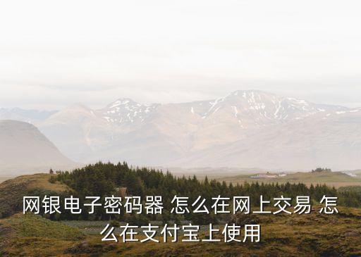網(wǎng)銀電子密碼器 怎么在網(wǎng)上交易 怎么在支付寶上使用