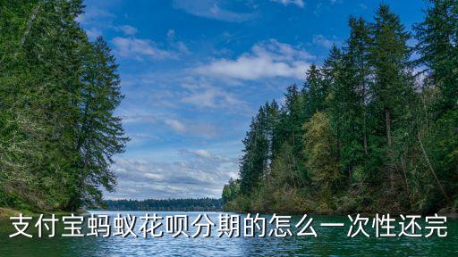 支付寶螞蟻花唄分期的怎么一次性還完