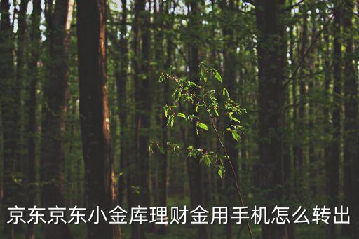 京東京東小金庫(kù)理財(cái)金用手機(jī)怎么轉(zhuǎn)出