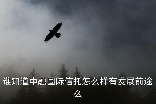 中融 基金 怎么樣，誰知道中融國際信托怎么樣有發(fā)展前途么