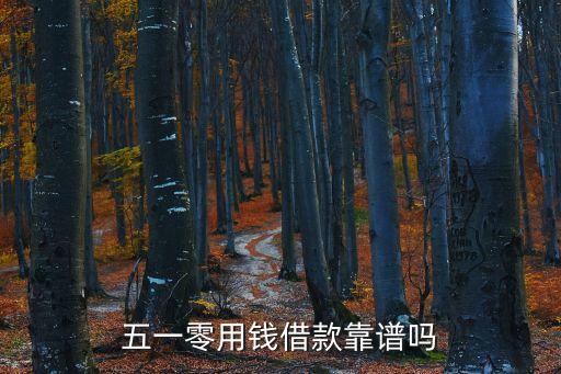 零花錢貸款怎么樣，芝麻積分659和身份證借貸平臺(tái)能借到一萬嘛