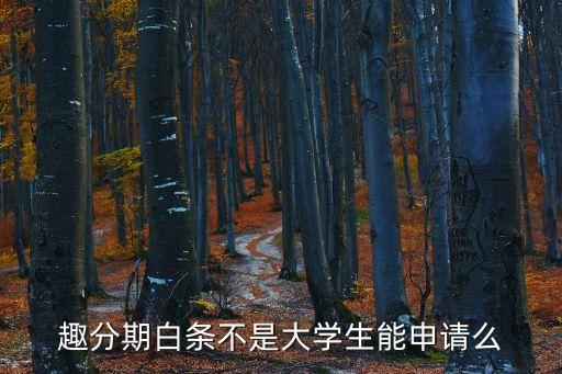 趣分期白條不是大學(xué)生能申請(qǐng)么