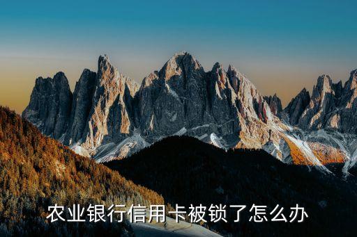 農(nóng)業(yè)信用卡被鎖定怎么辦，農(nóng)業(yè)銀行信用卡被鎖定怎么辦