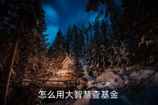 大智慧怎么看基金，在大智慧里怎么看基金