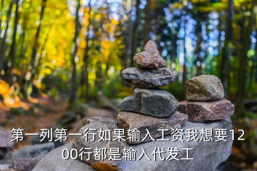 第一列第一行如果輸入工資我想要1200行都是輸入代發(fā)工