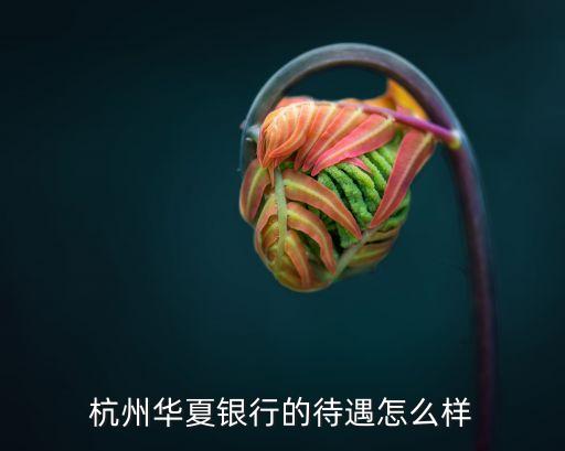 杭州華夏銀行怎么樣，華夏銀行怎么樣待遇怎么樣