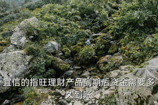 宜信的指旺理財產品到期后資金需要多久到賬