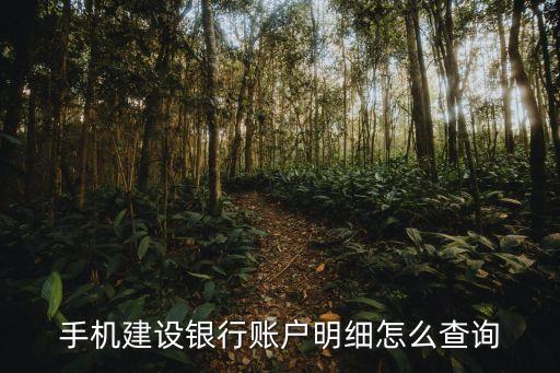 怎么查所有建行賬戶，建設(shè)銀行賬戶查詢