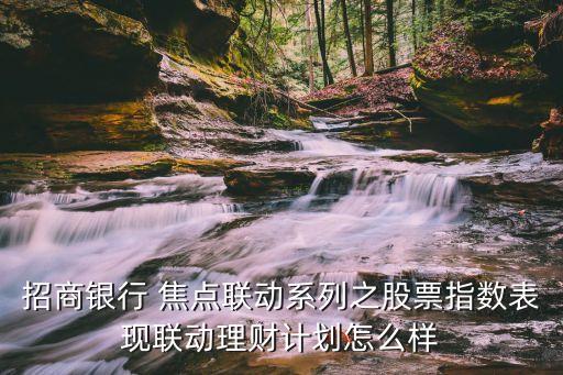 招商銀行 焦點(diǎn)聯(lián)動系列之股票指數(shù)表現(xiàn)聯(lián)動理財計(jì)劃怎么樣