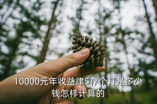 年收益5 怎么計算，銀行債券年化收益5具體怎么算