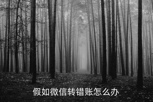 假如微信轉(zhuǎn)錯(cuò)賬怎么辦