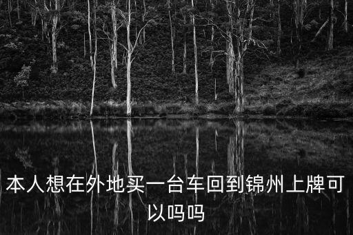 外地人在錦州買車怎么辦手續(xù)，本人想在外地買一臺車回到錦州上牌可以嗎嗎