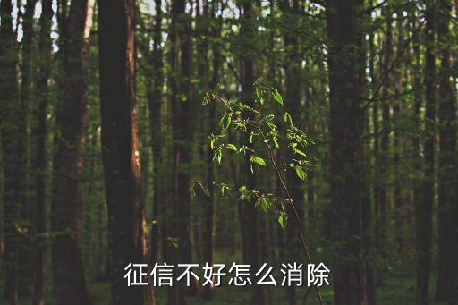 怎么改善個人征信，信用評分怎么才能提高