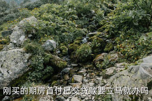 買的期房怎么辦的貸款，期房買賣如何貸款