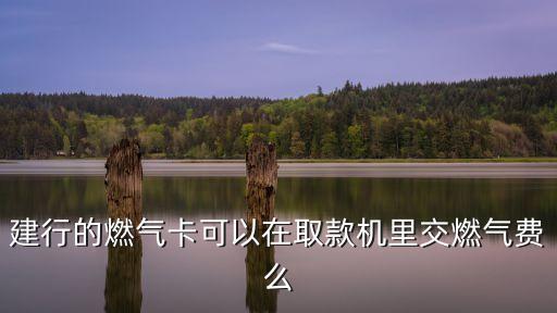 建設(shè)燃氣卡怎么在ATM上交費，建設(shè)銀行柜臺機上可以交燃氣費