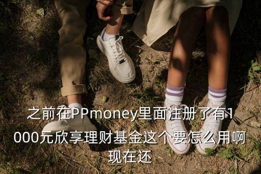 之前在PPmoney里面注冊了有1000元欣享理財基金這個要怎么用啊現(xiàn)在還