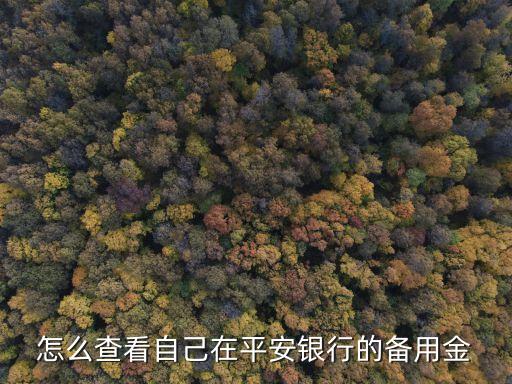 平安備用金怎么看賬單，怎么查看自己在平安銀行的備用金