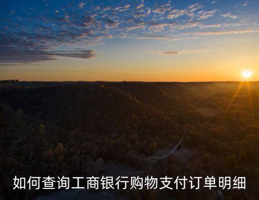 怎么查詢銀行訂單，在手機銀行怎樣找到已支付的定單