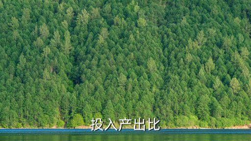 投入產(chǎn)出比