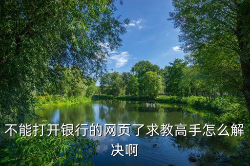 不能打開銀行的網(wǎng)頁了求教高手怎么解決啊