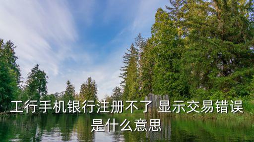 工行手機(jī)銀行注冊(cè)不了 顯示交易錯(cuò)誤是什么意思