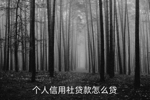個人信用社貸款怎么貸