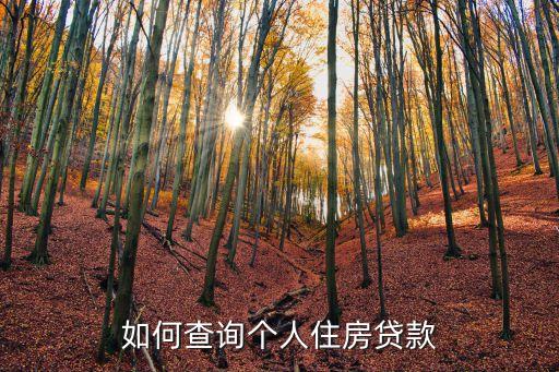 怎么樣查房貸，我的房貸詳情怎么查詢