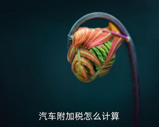 車輛購(gòu)置附加費(fèi)怎么算，車附加費(fèi)怎么算