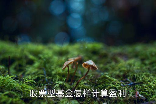股票型基金的收益怎么算，股票基金如何計(jì)算收益