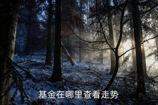 基金在哪里查看走勢