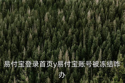 易付寶解凍不了怎么辦，易付寶登錄首頁(yè)y易付寶賬號(hào)被凍結(jié)咋辦