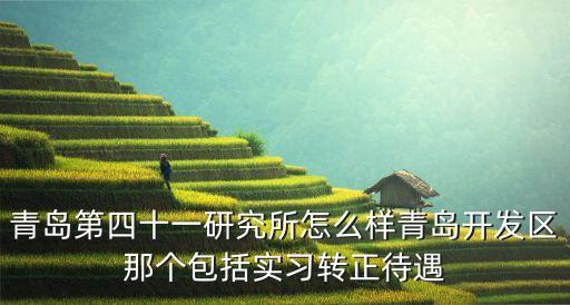久金所怎么樣，青島第四十一研究所怎么樣青島開發(fā)區(qū)那個(gè)包括實(shí)習(xí)轉(zhuǎn)正待遇