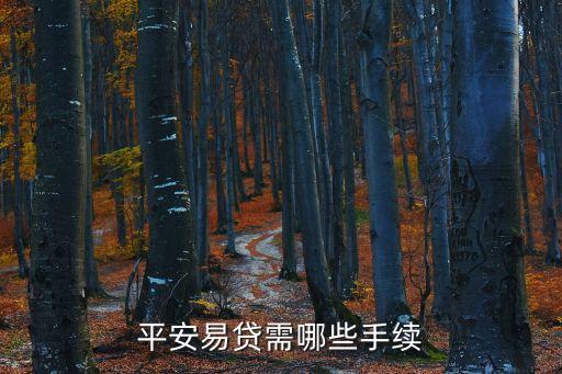 平安易貸需哪些手續(xù)