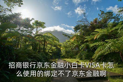招商銀行京東金融小白卡VISA卡怎么使用的綁定不了京東金融啊