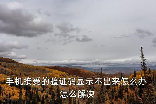 手機(jī)驗(yàn)證碼不會(huì)顯示怎么辦，手機(jī)收到驗(yàn)證碼但不直接顯示出來(lái)怎么回事 超簡(jiǎn)單的解決方法
