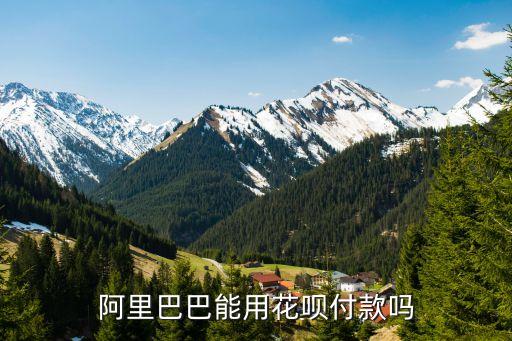 阿里巴巴能用花唄付款嗎