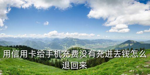 用信用卡給手機充費沒有充進去錢怎么退回來