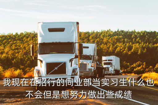 我現(xiàn)在在招行的同業(yè)部當(dāng)實(shí)習(xí)生什么也不會(huì)但是想努力做出些成績