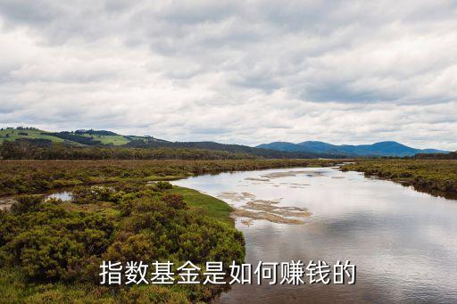 指數(shù)基金是如何賺錢的
