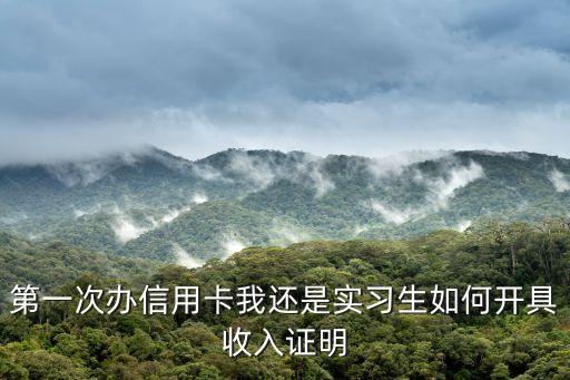 第一次辦信用卡我還是實習生如何開具收入證明