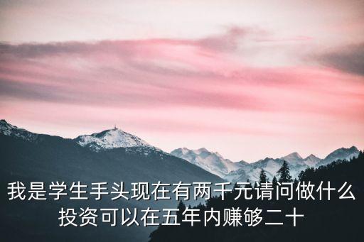 我是學生手頭現在有兩千元請問做什么投資可以在五年內賺夠二十