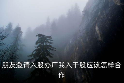 干股投資怎么操作，朋友邀請入股辦廠我入干股應(yīng)該怎樣合作