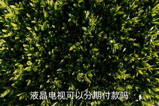 液晶電視可以分期付款嗎