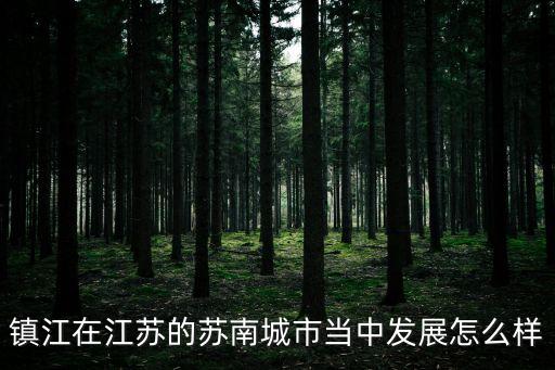 鎮(zhèn)江瀚瑞控股怎么樣，鎮(zhèn)江高資的環(huán)境怎樣