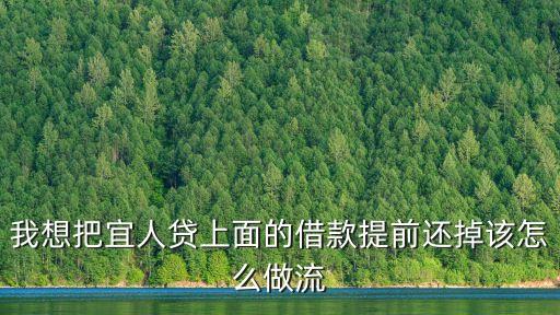 我想把宜人貸上面的借款提前還掉該怎么做流