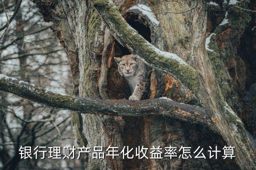 銀行理財產(chǎn)品年化收益率怎么計(jì)算